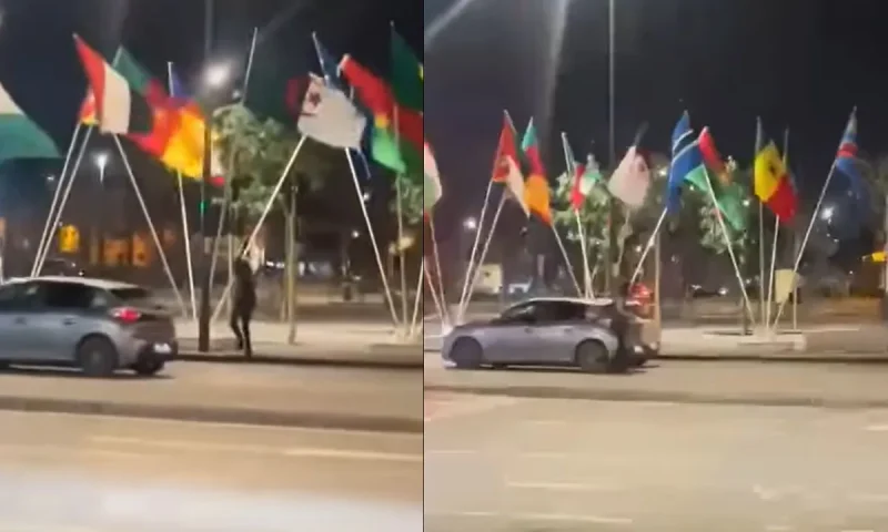 فيديو إزالة علم الجزائر يُورّط قاصرين أمام القضاء