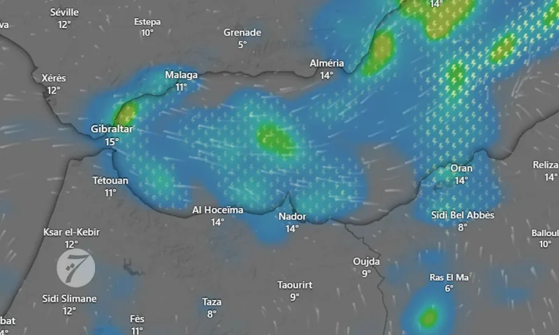 قرار بتعليق الدراسة في تطوان