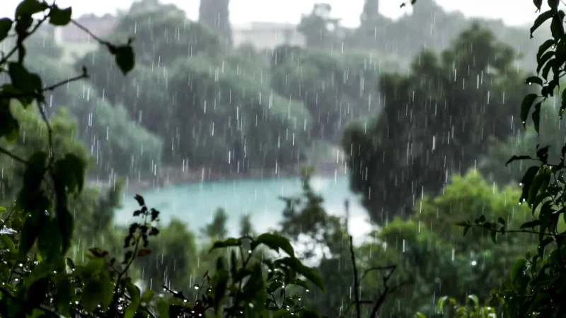 أمطار في طنجة والعرائش