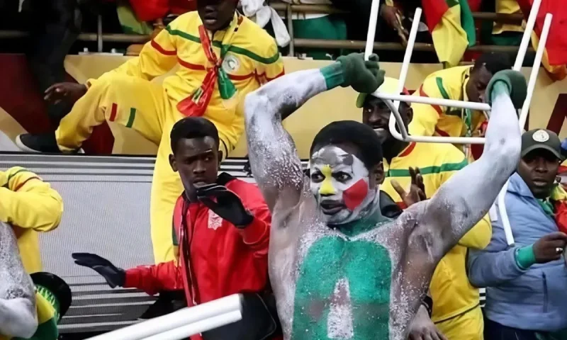 السنغاليون المخربون يضربون عن الطعام