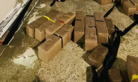 اكتشاف 490 كلغ من الشيرا مخبأة بين الفواكه في طنجة المتوسط