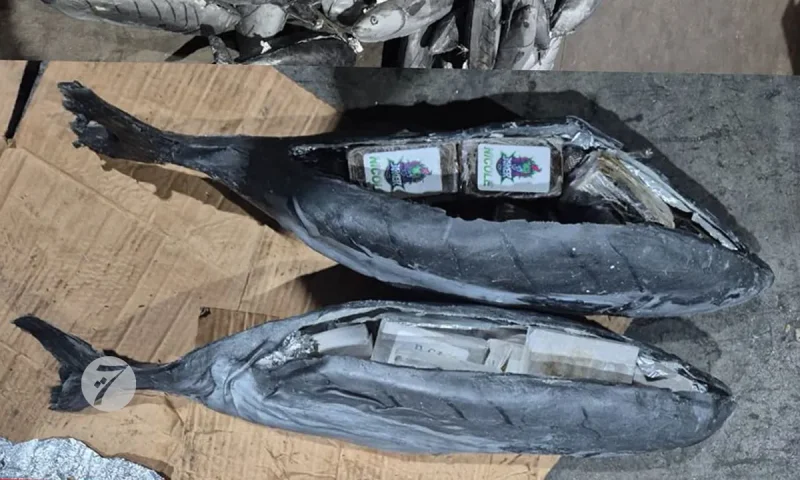 حوت مزور معمر بالحشيش.. أمن طنجة المتوسط يضبط 3 أطنان