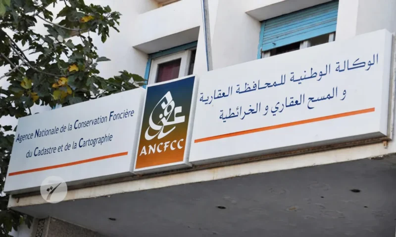 شهادة تضع المحافظة العقارية ببني مكادة في قلب فضيحة اختلاس أموال بنك عمومي والاستيلاء على أراضي الدولة