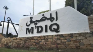 إيقاف جهادي يؤمن بفكر الدولة الإسلامية في المضيق