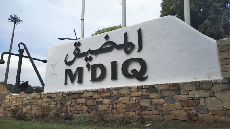 إيقاف جهادي يؤمن بفكر الدولة الإسلامية في المضيق