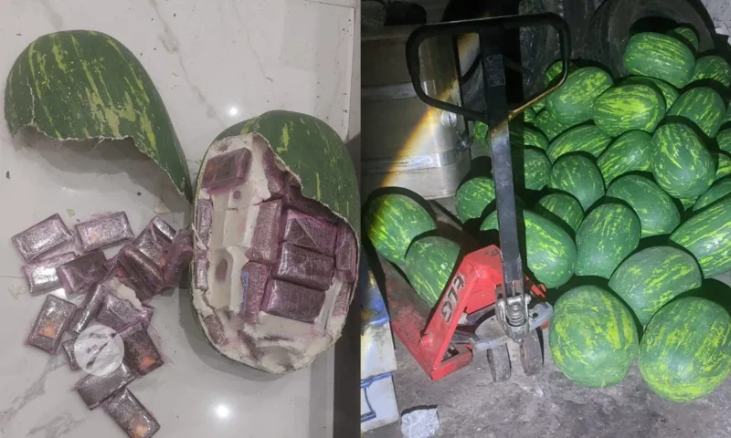 دلاح معمر بالحشيش في اكزناية