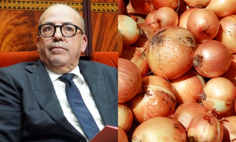 في زمن أحمد البواري.. المغرب يتحوّل من مُصدّر للبصل إلى مستورد له بكميات قياسية