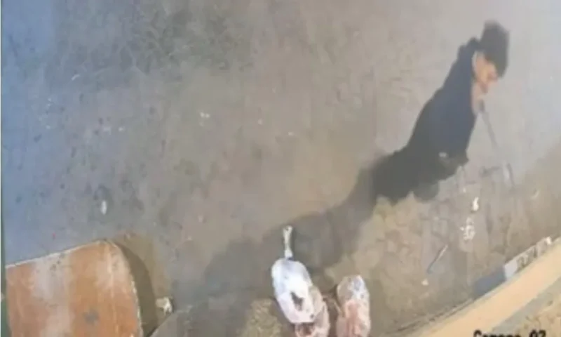 هارب منذ يونيو في قبضة أمن الدائرة 10